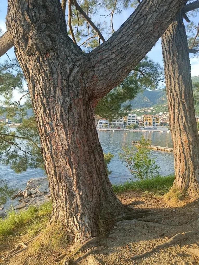 Tondo Apartamento Tivat Exterior foto